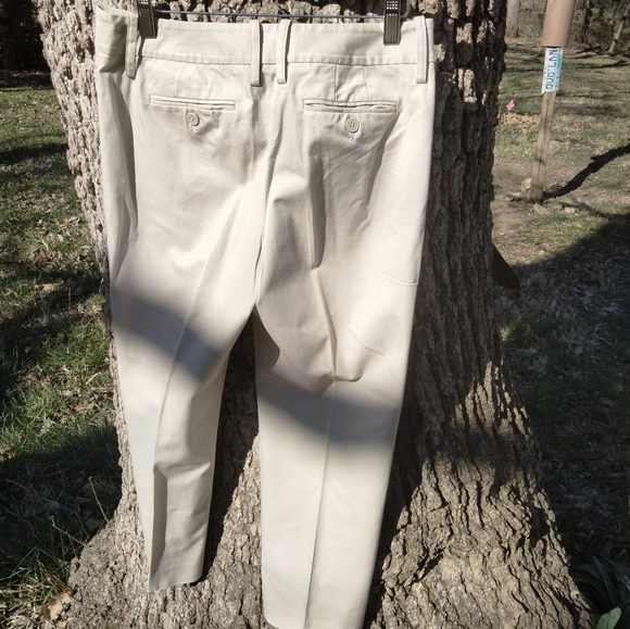 ⬇️ Price Drop!⬇️ LOFT Pants in size 6P - Picture 2 of 3